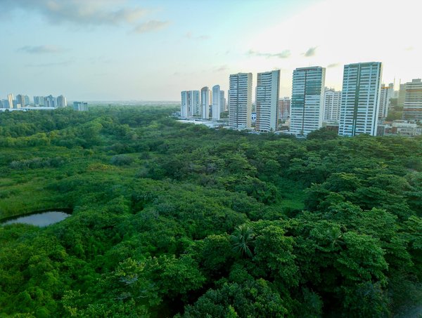 Stratégies innovantes pour cultiver le leadership chez les jeunes adultes