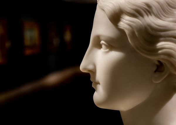 Au Cœur des Mangroves : Découvrez Comment Ces Écosystèmes Protègent Nos Côtes