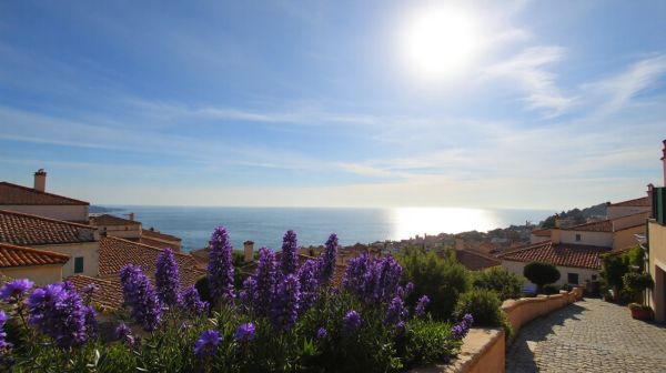 Solutions personnalisées pour une dératisation réussie à cagnes-sur-mer